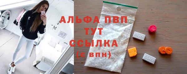 гашик Инта