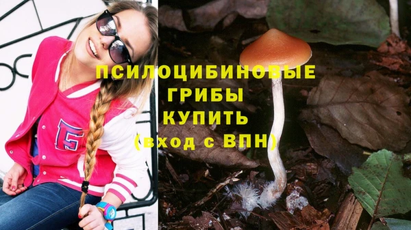 гашик Инта