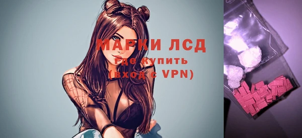 гашик Инта