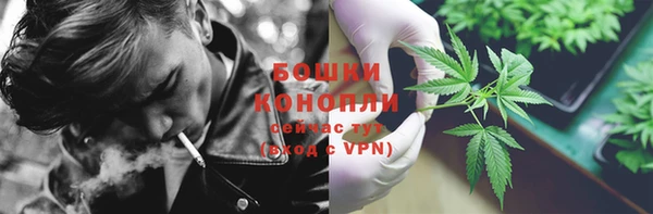гашик Инта