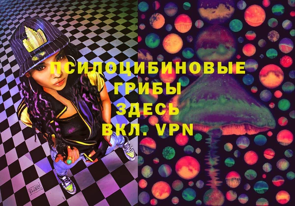 гашик Инта