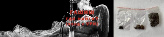 гашик Инта