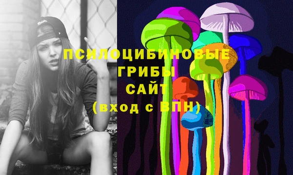 гашик Инта