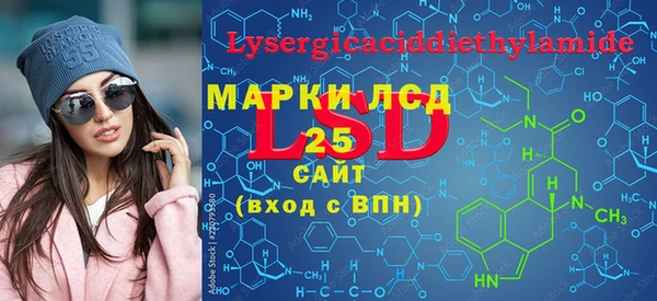 дмт Инсар