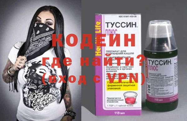 дмт Инсар