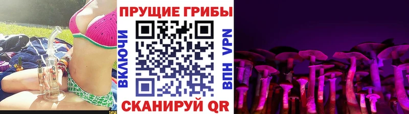 Псилоцибиновые грибы прущие грибы  как найти закладки  Черкесск 